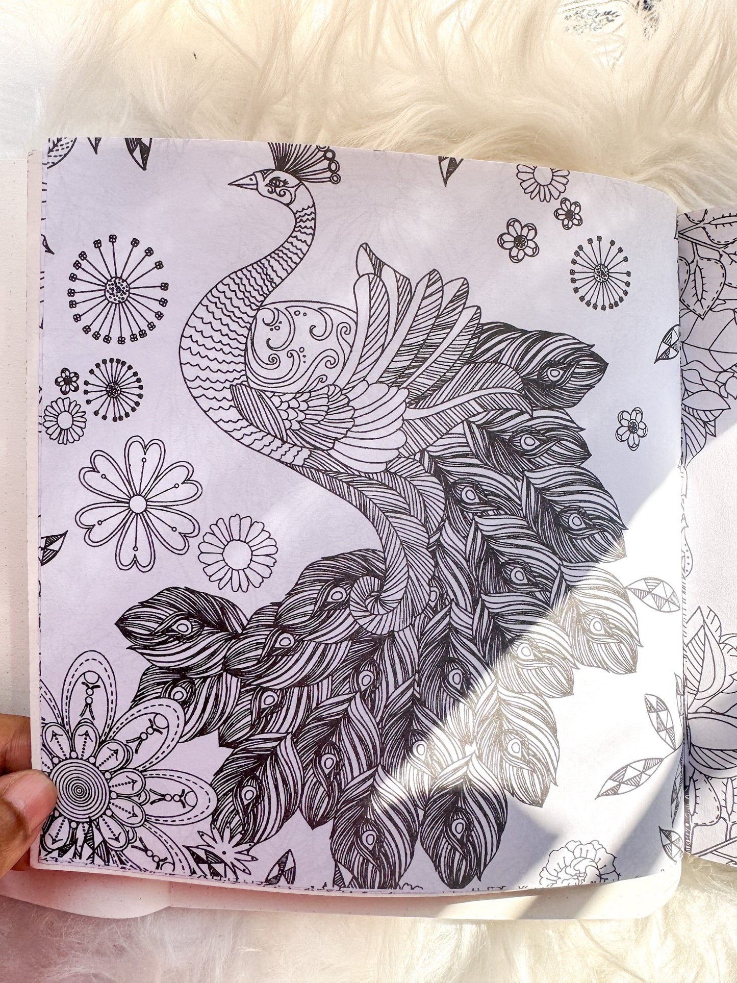 The Enchanted Forest Coloring Canvas Line Drawn Book | 24 pics Random Design