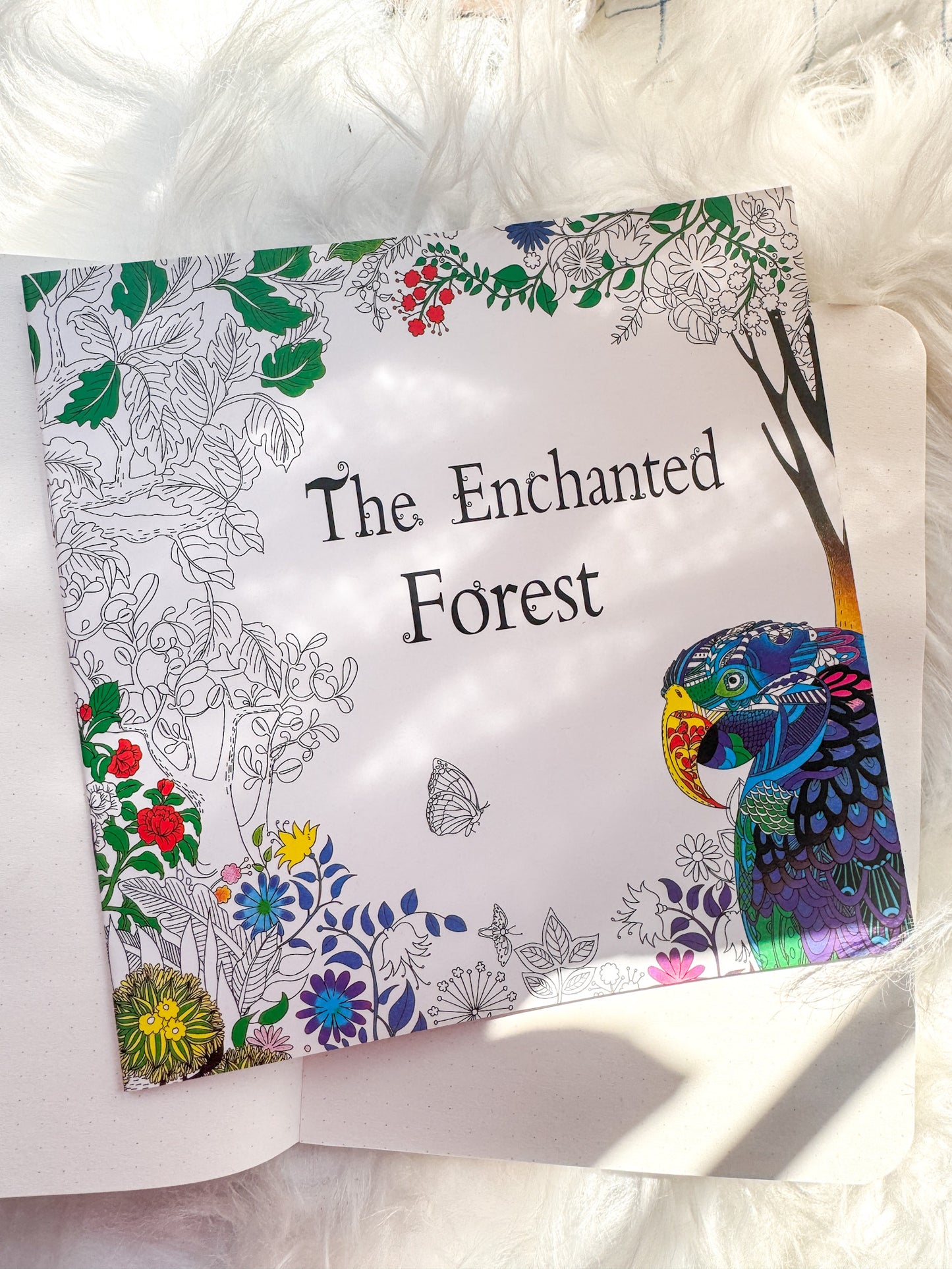 The Enchanted Forest Coloring Canvas Line Drawn Book | 24 pics Random Design
