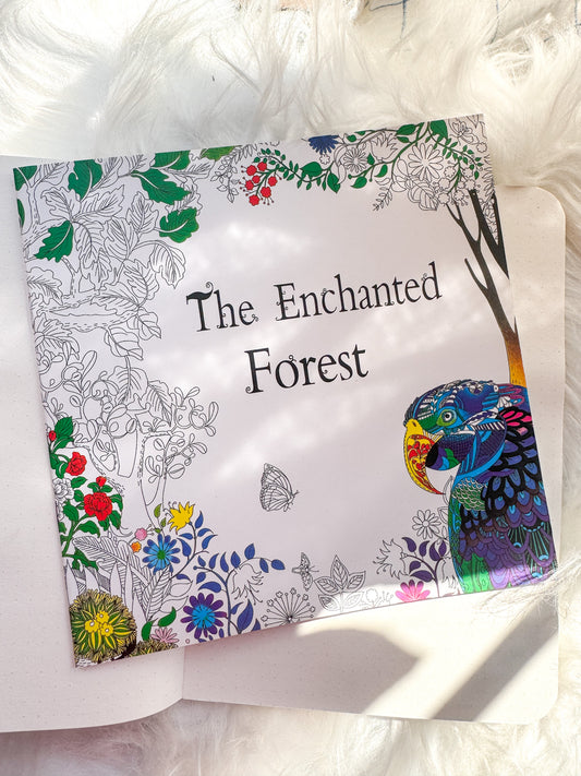 The Enchanted Forest Coloring Canvas Line Drawn Book | 24 pics Random Design