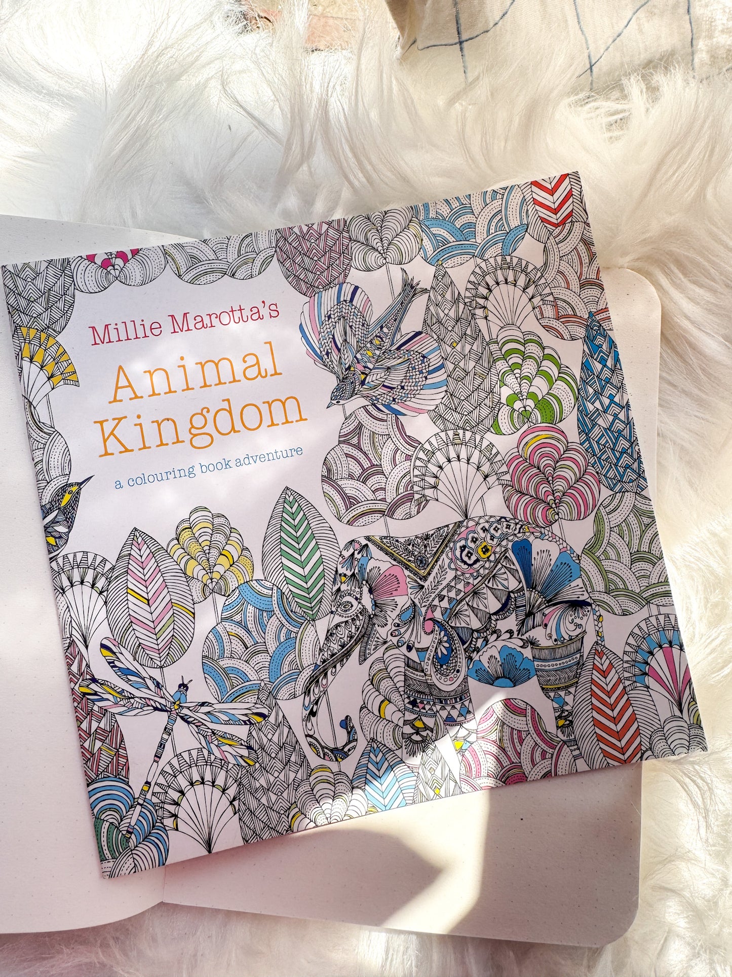 The Enchanted Forest Coloring Canvas Line Drawn Book | 24 pics Random Design