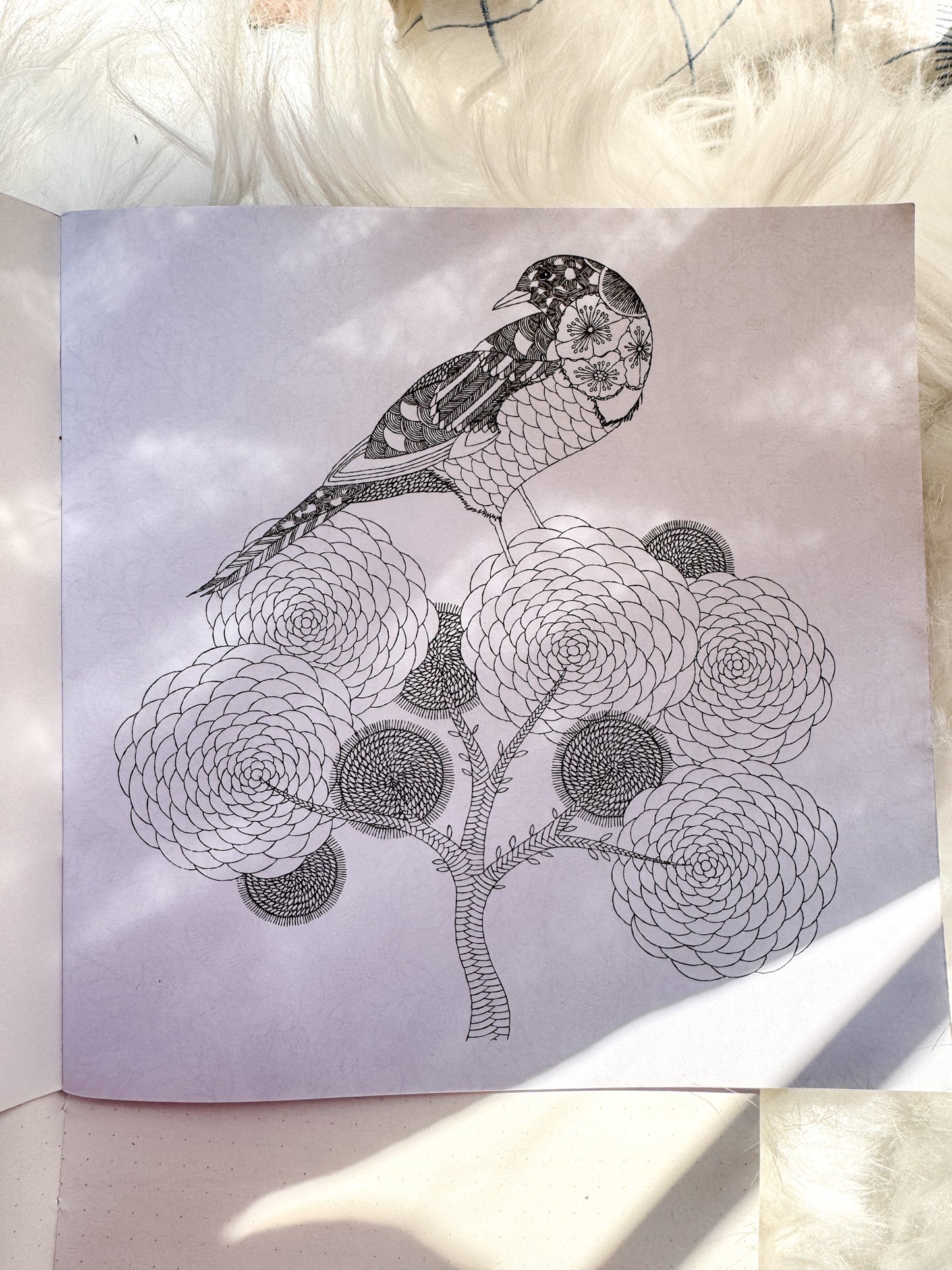 The Enchanted Forest Coloring Canvas Line Drawn Book | 24 pics Random Design