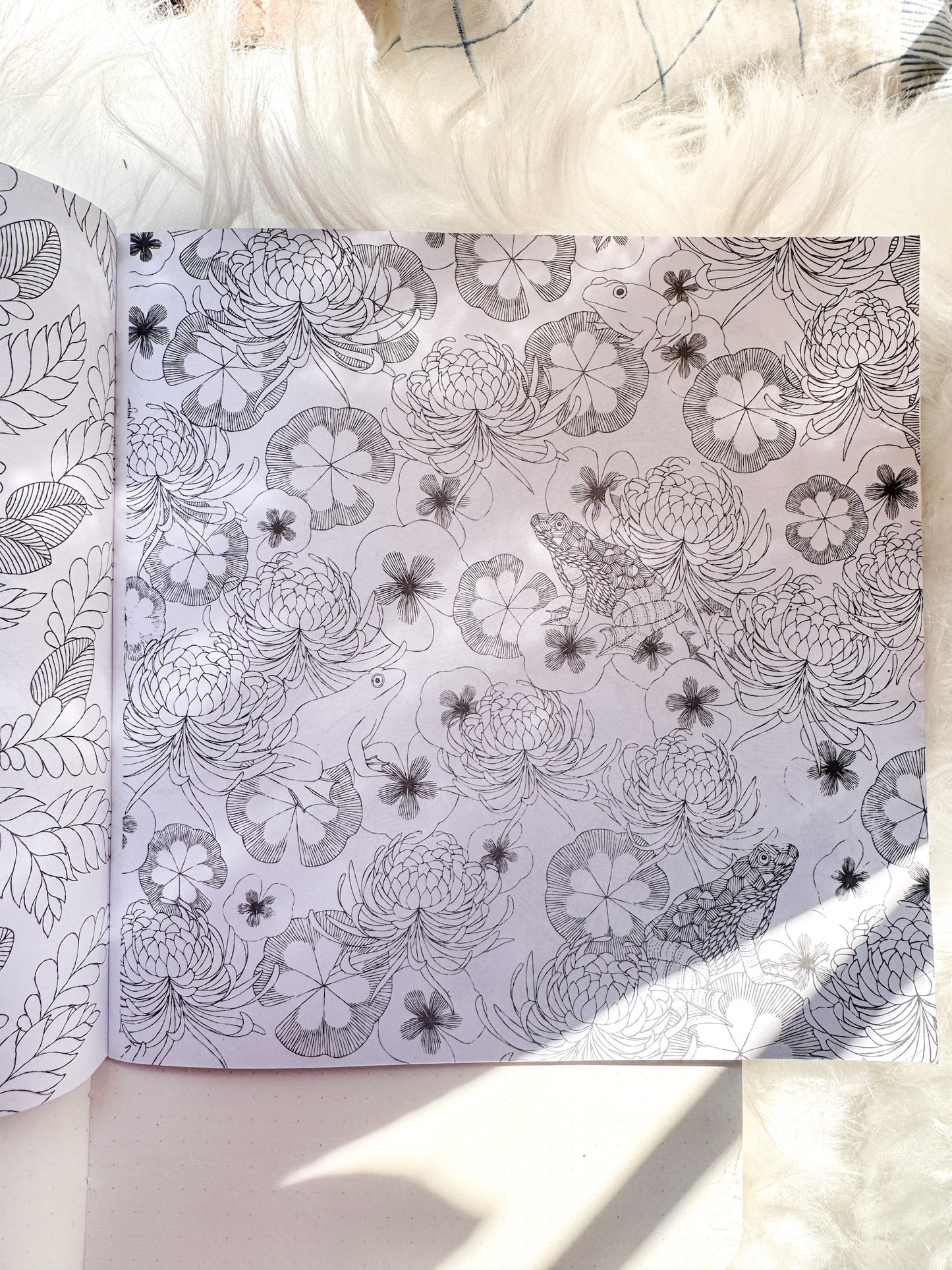 The Enchanted Forest Coloring Canvas Line Drawn Book | 24 pics Random Design