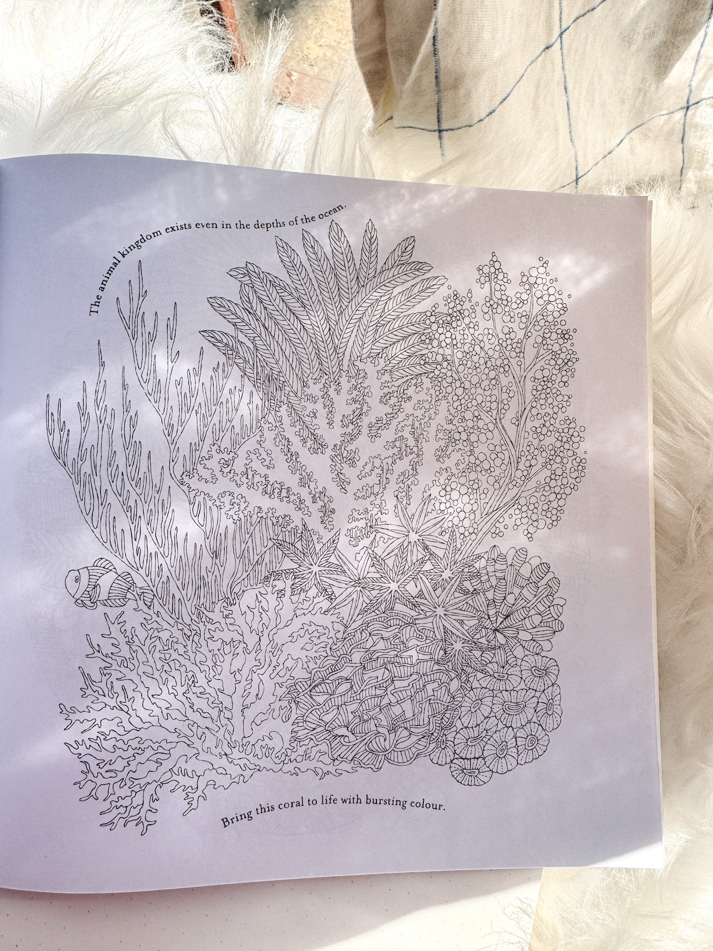 The Enchanted Forest Coloring Canvas Line Drawn Book | 24 pics Random Design