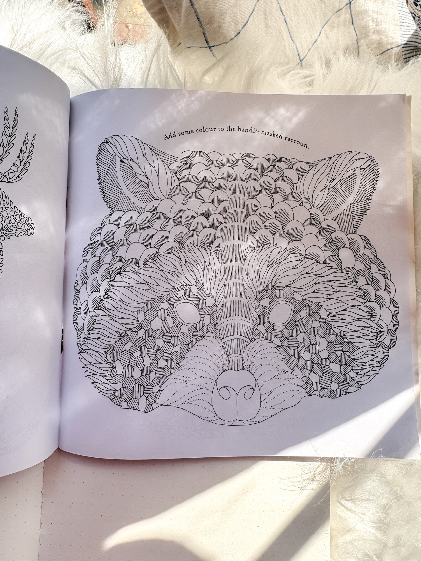 The Enchanted Forest Coloring Canvas Line Drawn Book | 24 pics Random Design