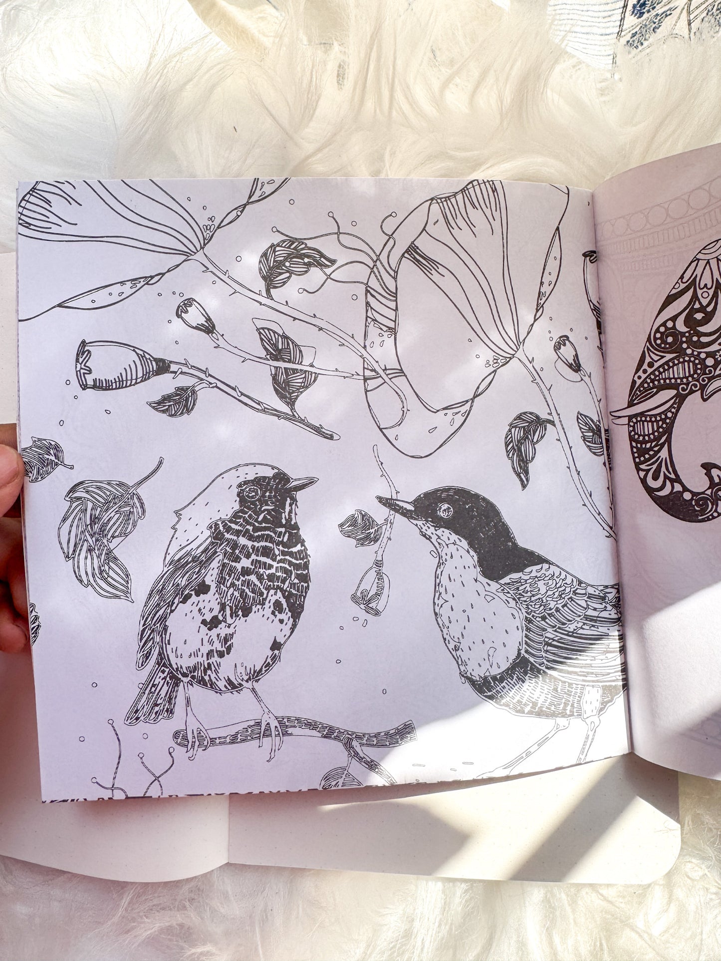 The Enchanted Forest Coloring Canvas Line Drawn Book | 24 pics Random Design