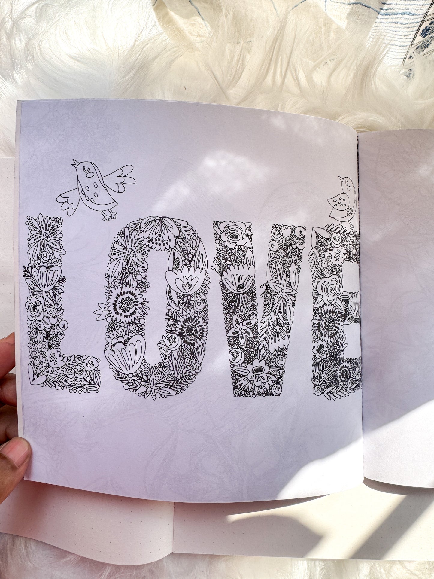 The Enchanted Forest Coloring Canvas Line Drawn Book | 24 pics Random Design