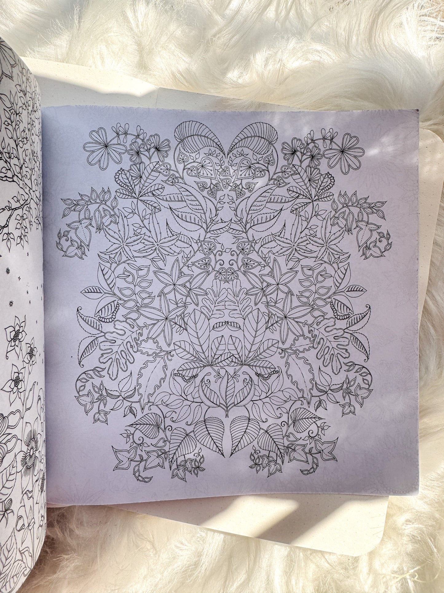 The Enchanted Forest Coloring Canvas Line Drawn Book | 24 pics Random Design