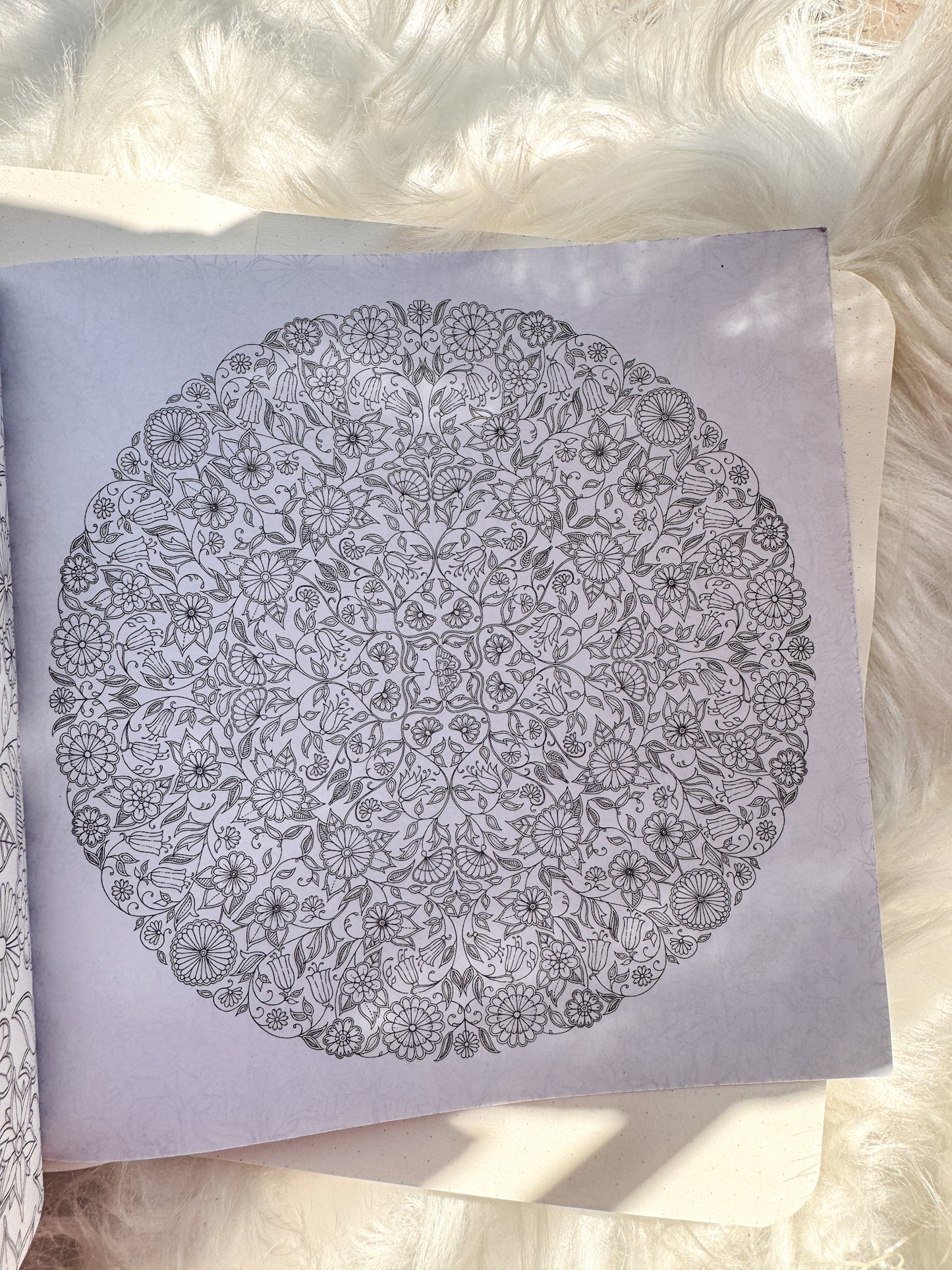 The Enchanted Forest Coloring Canvas Line Drawn Book | 24 pics Random Design