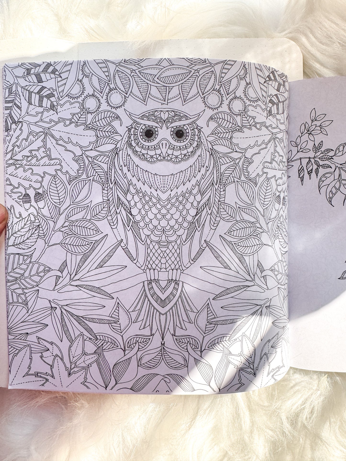 The Enchanted Forest Coloring Canvas Line Drawn Book | 24 pics Random Design