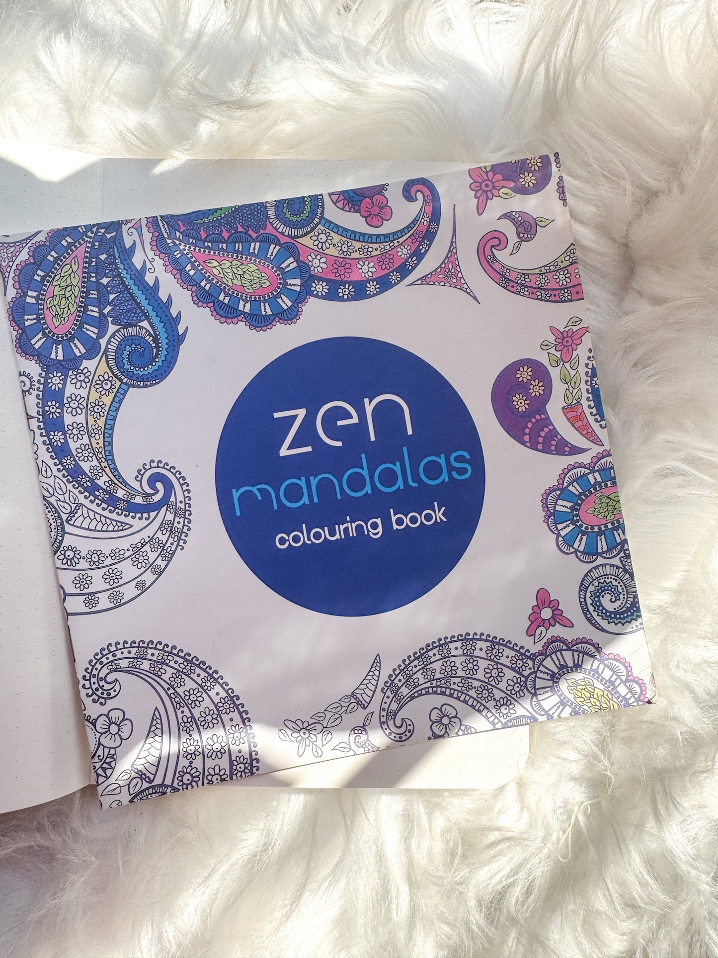 The Enchanted Forest Coloring Canvas Line Drawn Book | 24 pics Random Design