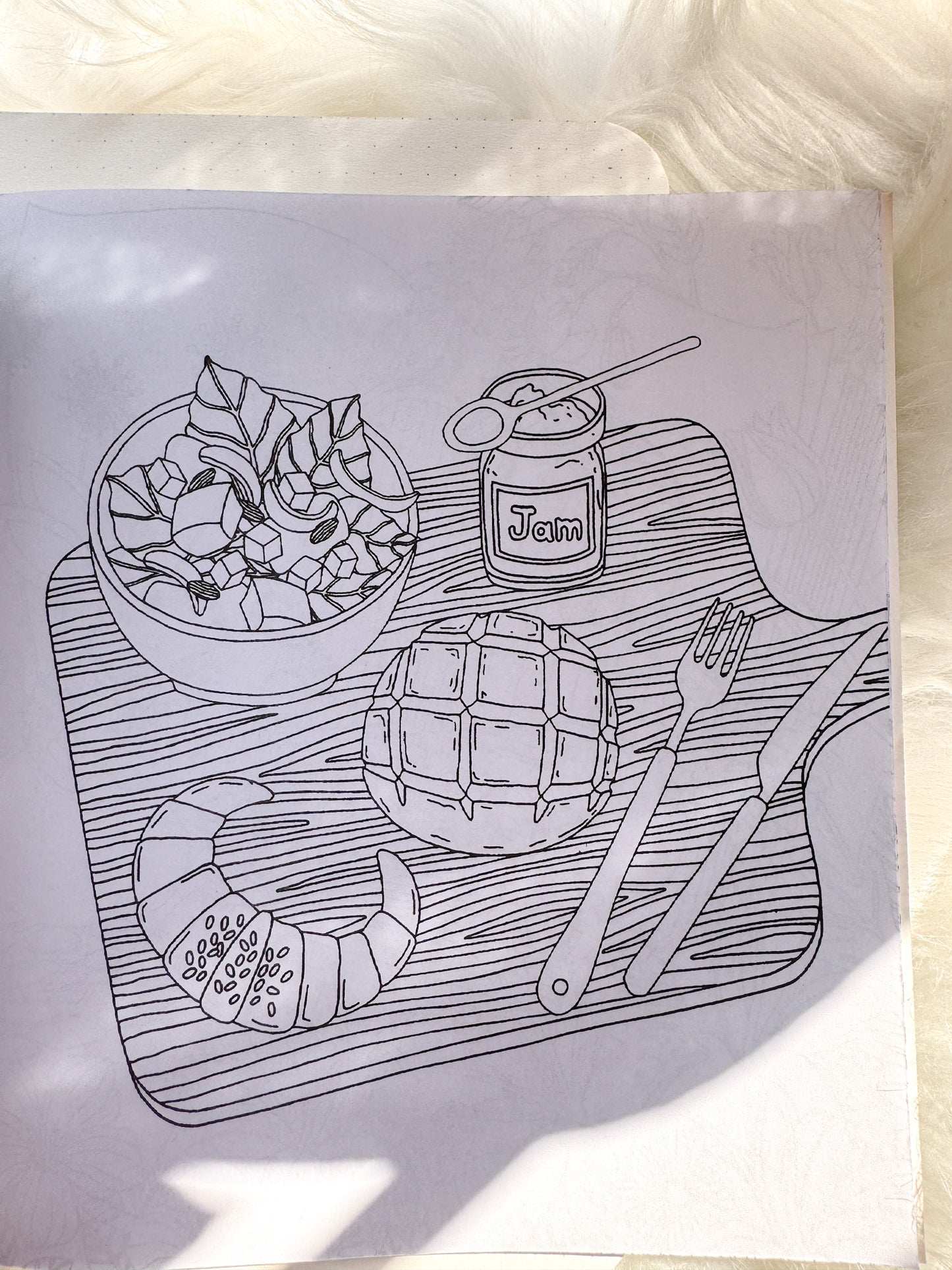 The Enchanted Forest Coloring Canvas Line Drawn Book | 24 pics Random Design