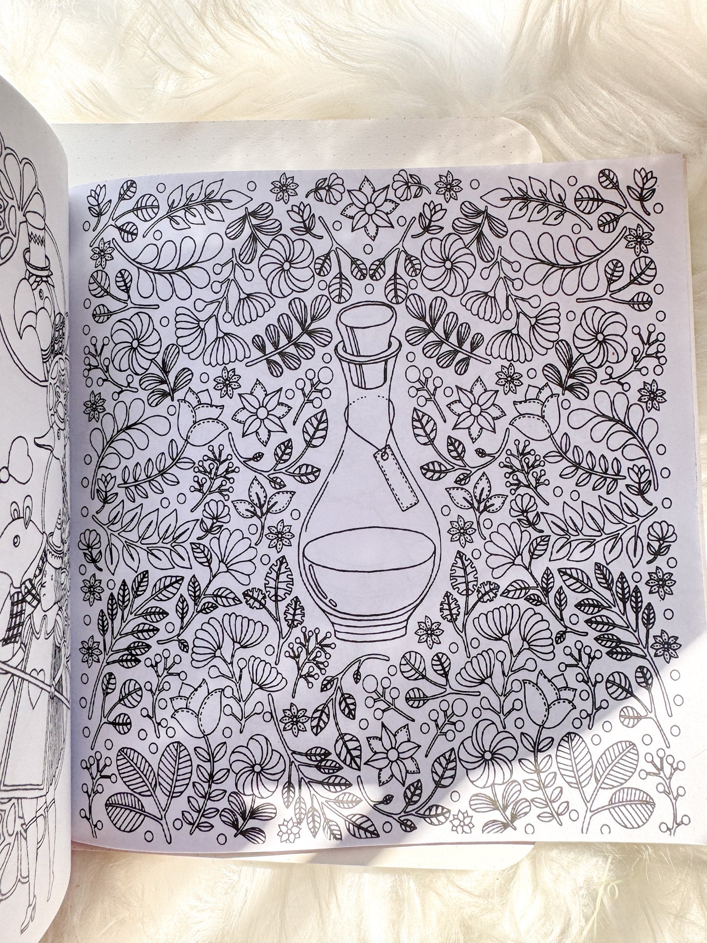 The Enchanted Forest Coloring Canvas Line Drawn Book | 24 pics Random Design
