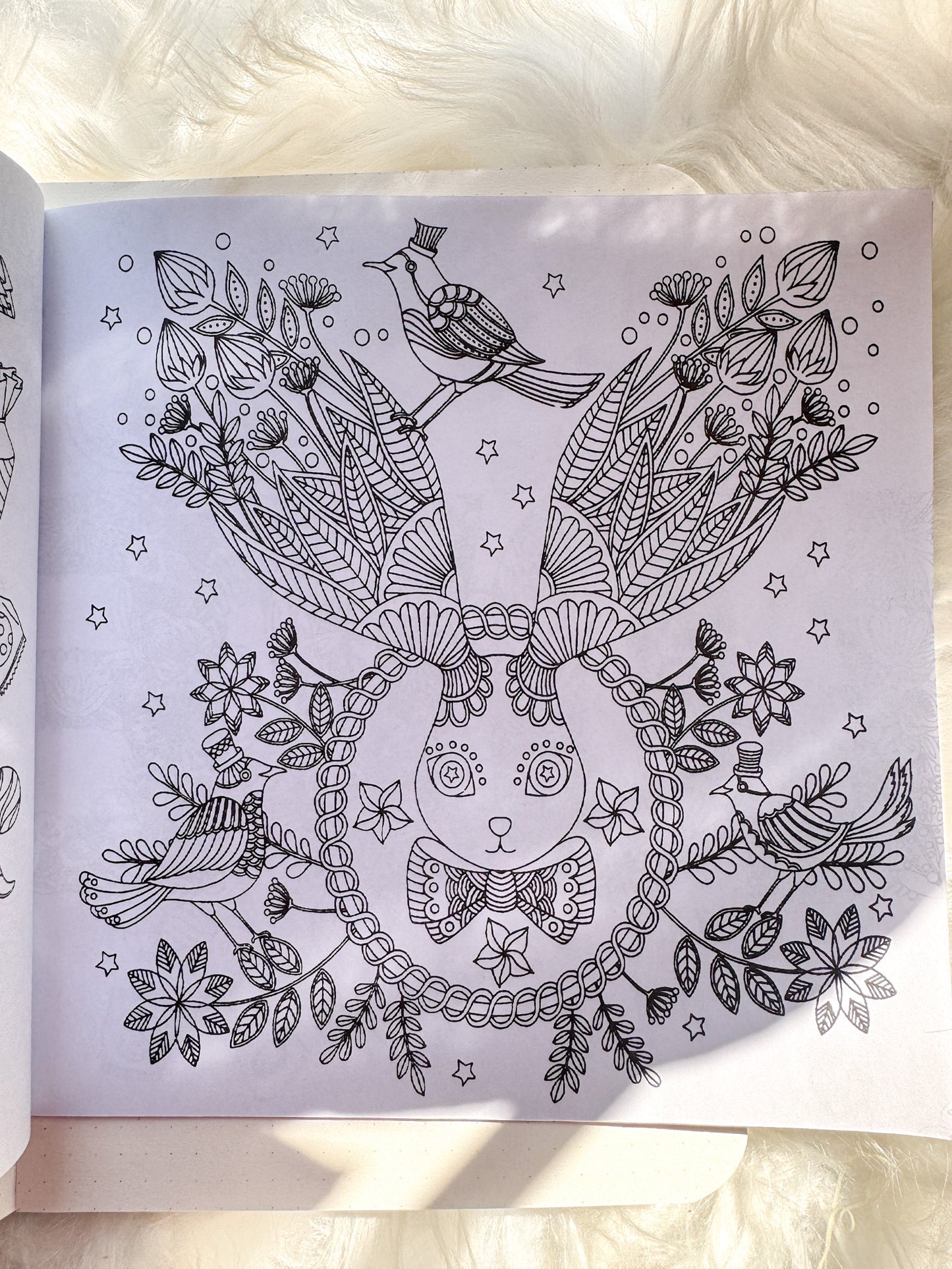 The Enchanted Forest Coloring Canvas Line Drawn Book | 24 pics Random Design