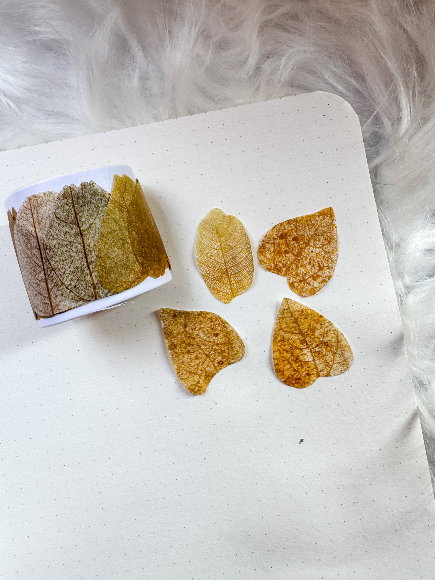 Hgd-xxly008 Fallen Leaves Paper Sticker Roll | 35*35mm 50 pcs