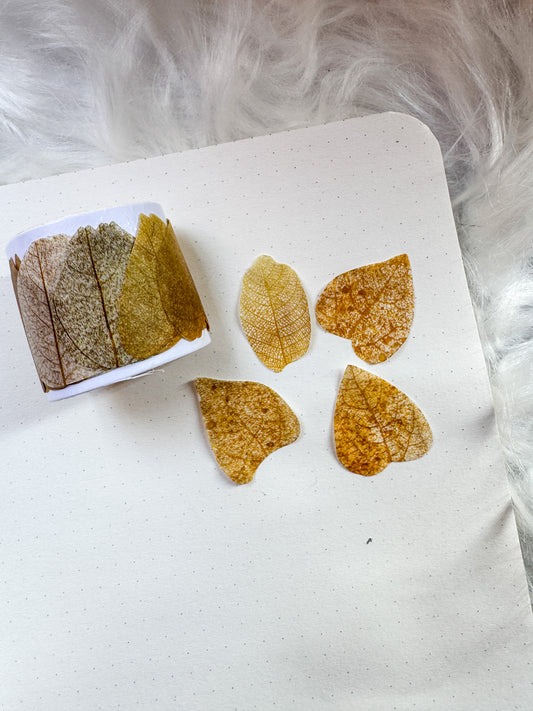 Hgd-xxly008 Fallen Leaves Paper Sticker Roll | 35*35mm 50 pcs