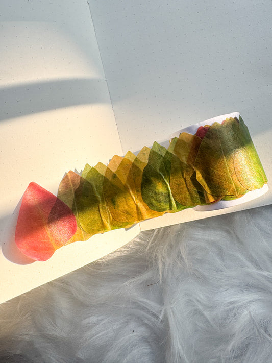 Hgd-xxly006 Fallen Leaves Paper Sticker Roll | 35*35mm 50 pcs