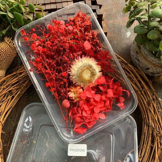 MG20546 Dry Flower Box | Box Size: 16x11 cm