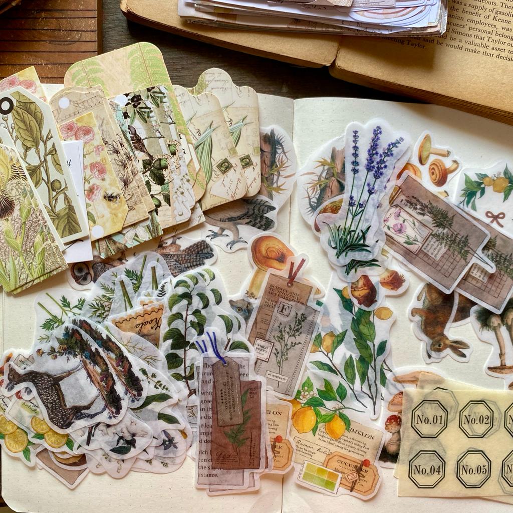 SCB6330 Retro Paper Cutout And Sticker 260PC