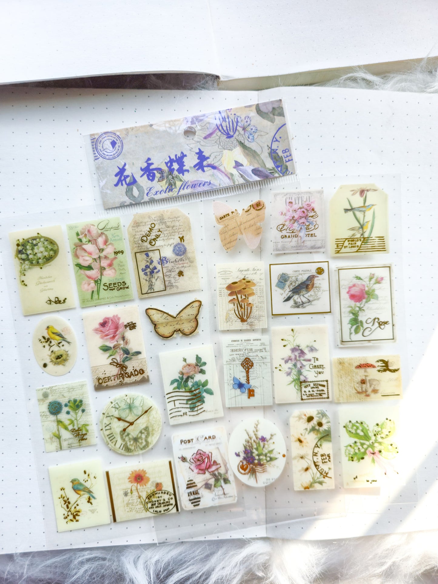Jsnh404|G-9| Erotic Flowers Stamp Sticker Pet Sticker | Set of 2 90*35mm