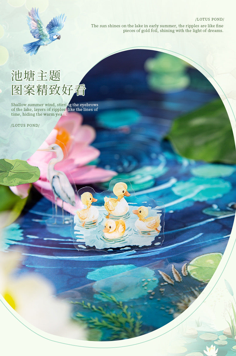 Cxly001 Early Summer Ripples Sticker roll Pet Sticker | 50mm*2m