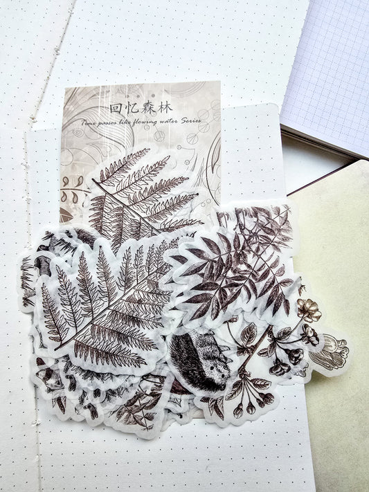 Xxtz08a004 Translucent Deco Sticker Time Passes Like Flowing Water Series | 20*3 60pcs