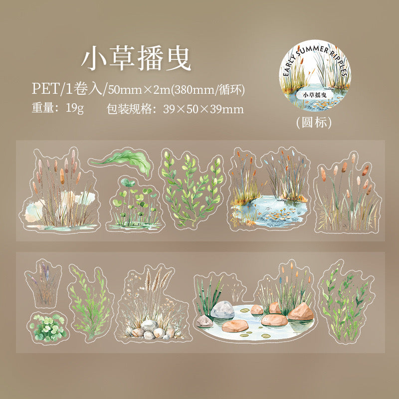 Cxly004 Early Summer Ripples Sticker roll Pet Sticker | 50mm*2m