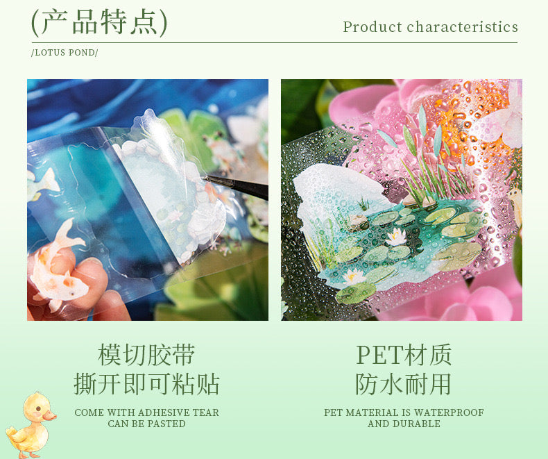Cxly004 Early Summer Ripples Sticker roll Pet Sticker | 50mm*2m