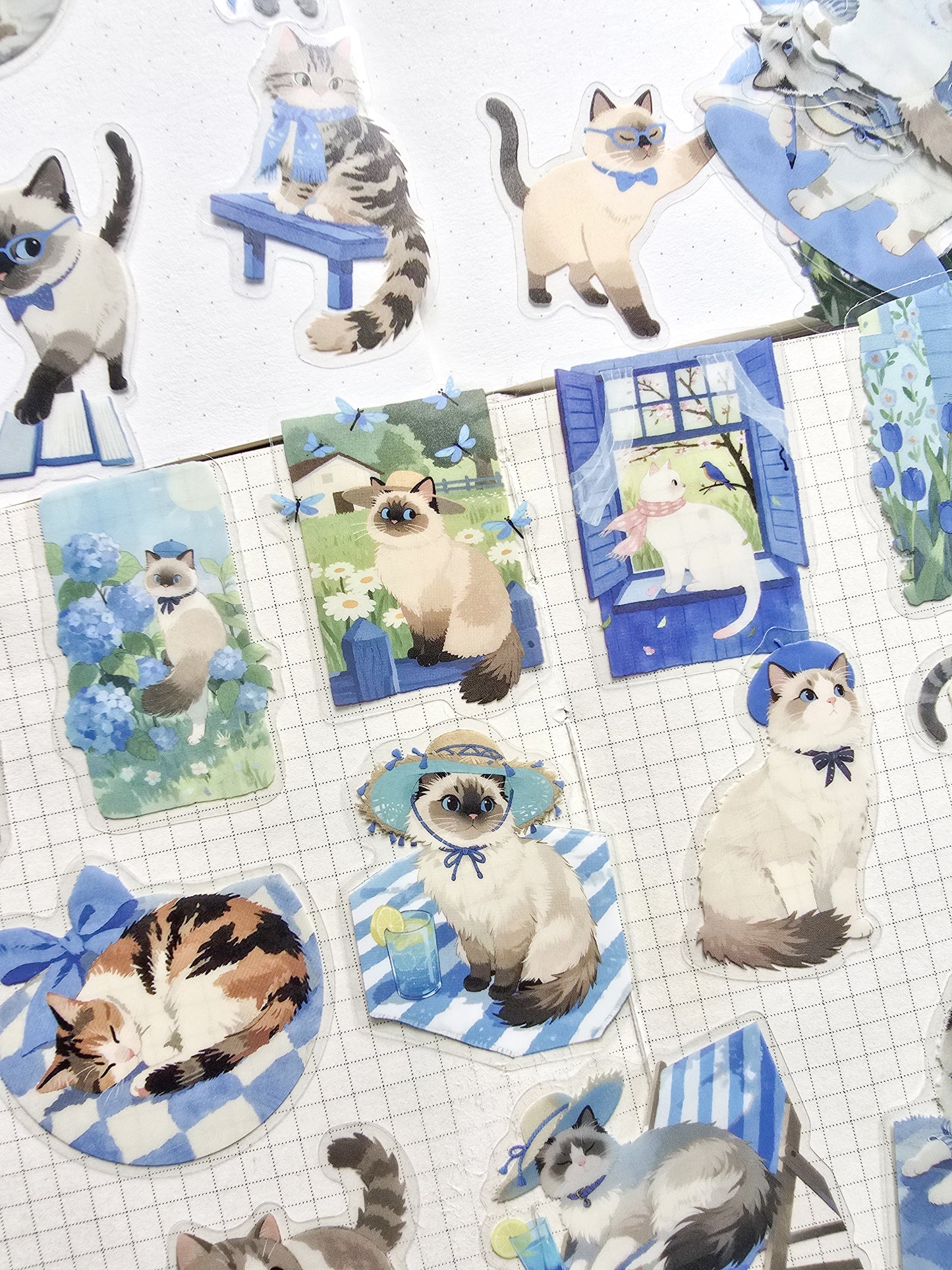 XMJR-601 | Plaid cat PET Cat STICKER |60pcs Sticker | 50*50mm