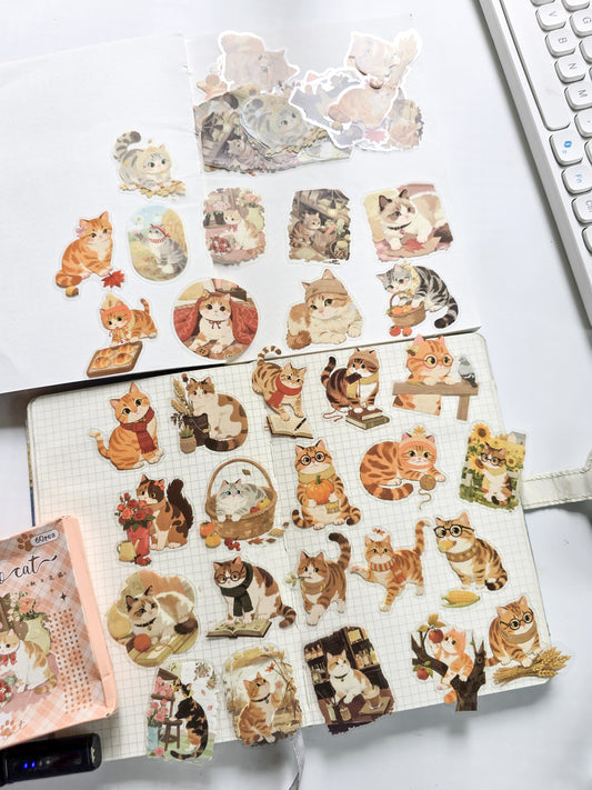 XMJR-604 | Calico Cat PET Cat STICKER |60pcs Sticker | 50*50mm