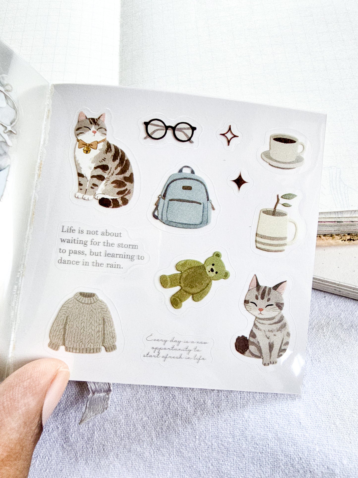 MRZYT-401 |20-Sheet PET Pet Theme Sticker Books Featuring Die-Cut Grey  Cat Designs | 80*80mm .