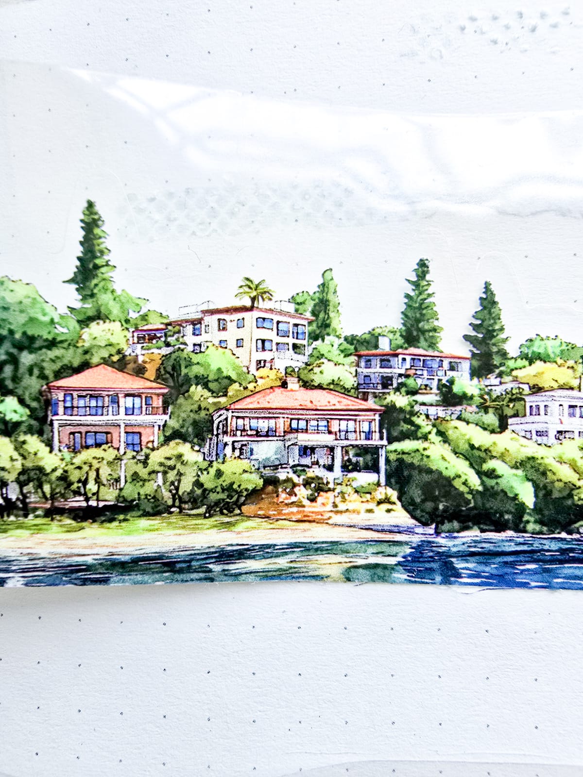 Rhdy-201 | PET | 1pc Sticker Roll | Leisurely Valley |
