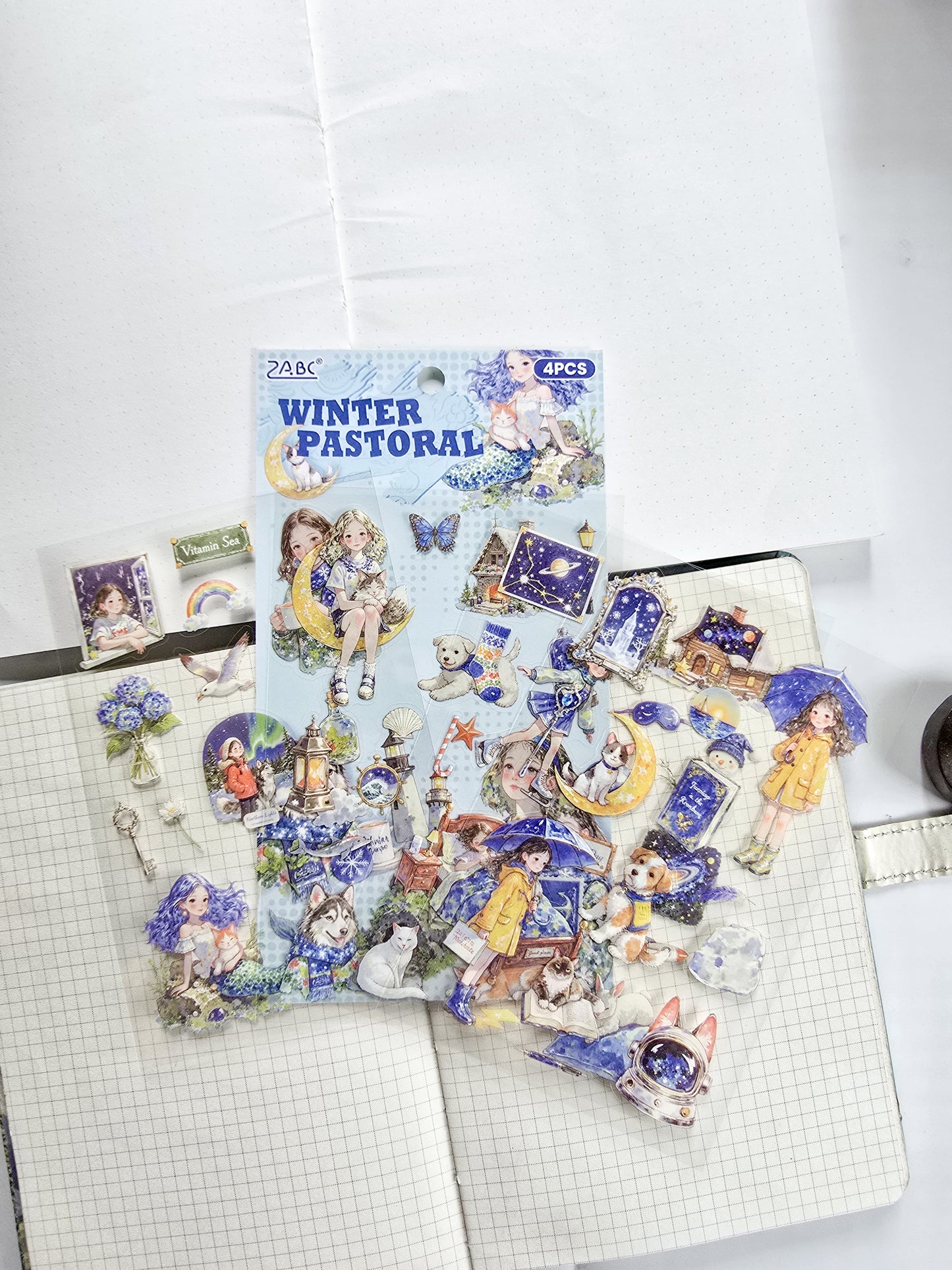 MQQL-604 |  WINTER PASTORAL Girls Aesthetic PET  Sticker | 4pcs Sticker | 100*150mm