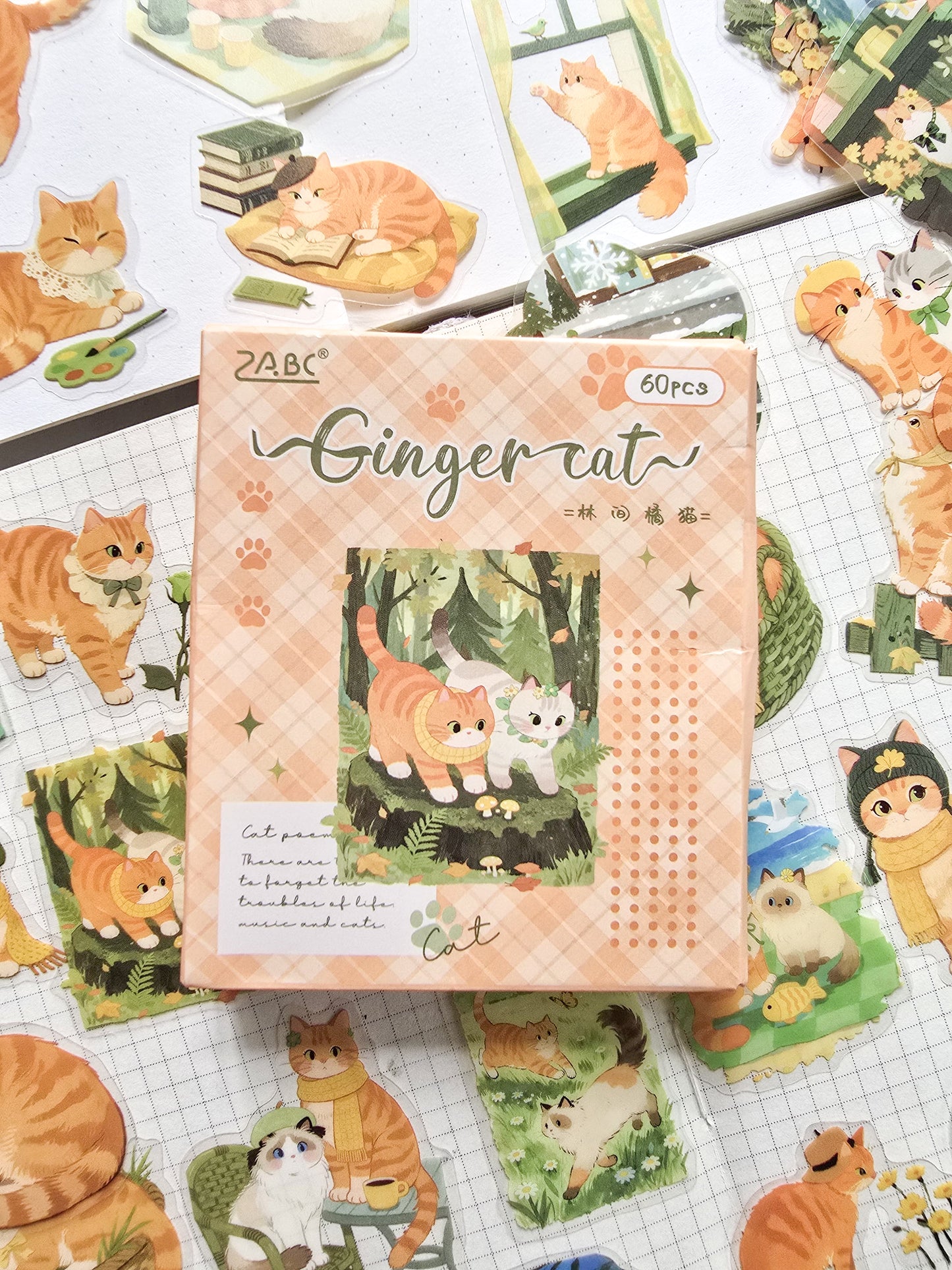XMJR-602 | Ginger cat PET Cat STICKER |60pcs Sticker | 50*50mm