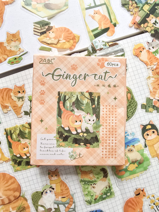 XMJR-602 | Ginger cat PET Cat STICKER |60pcs Sticker | 50*50mm