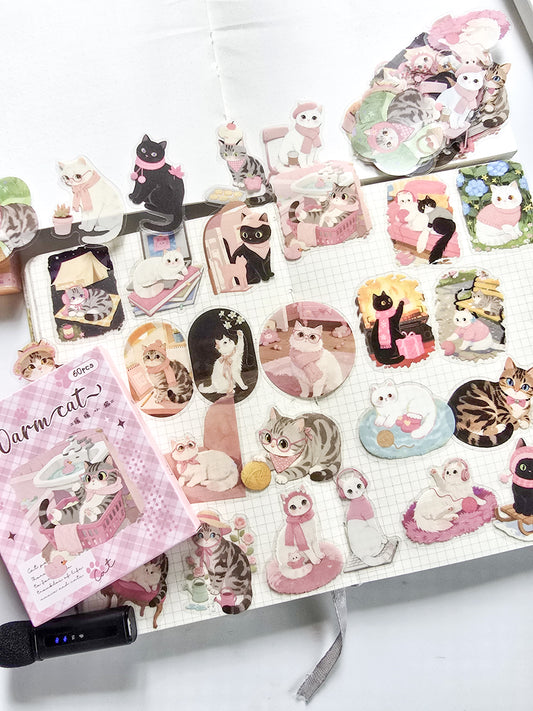XMJR-603 |-Warm-cat- PET Cat STICKER |60pcs Sticker | 50*50mm