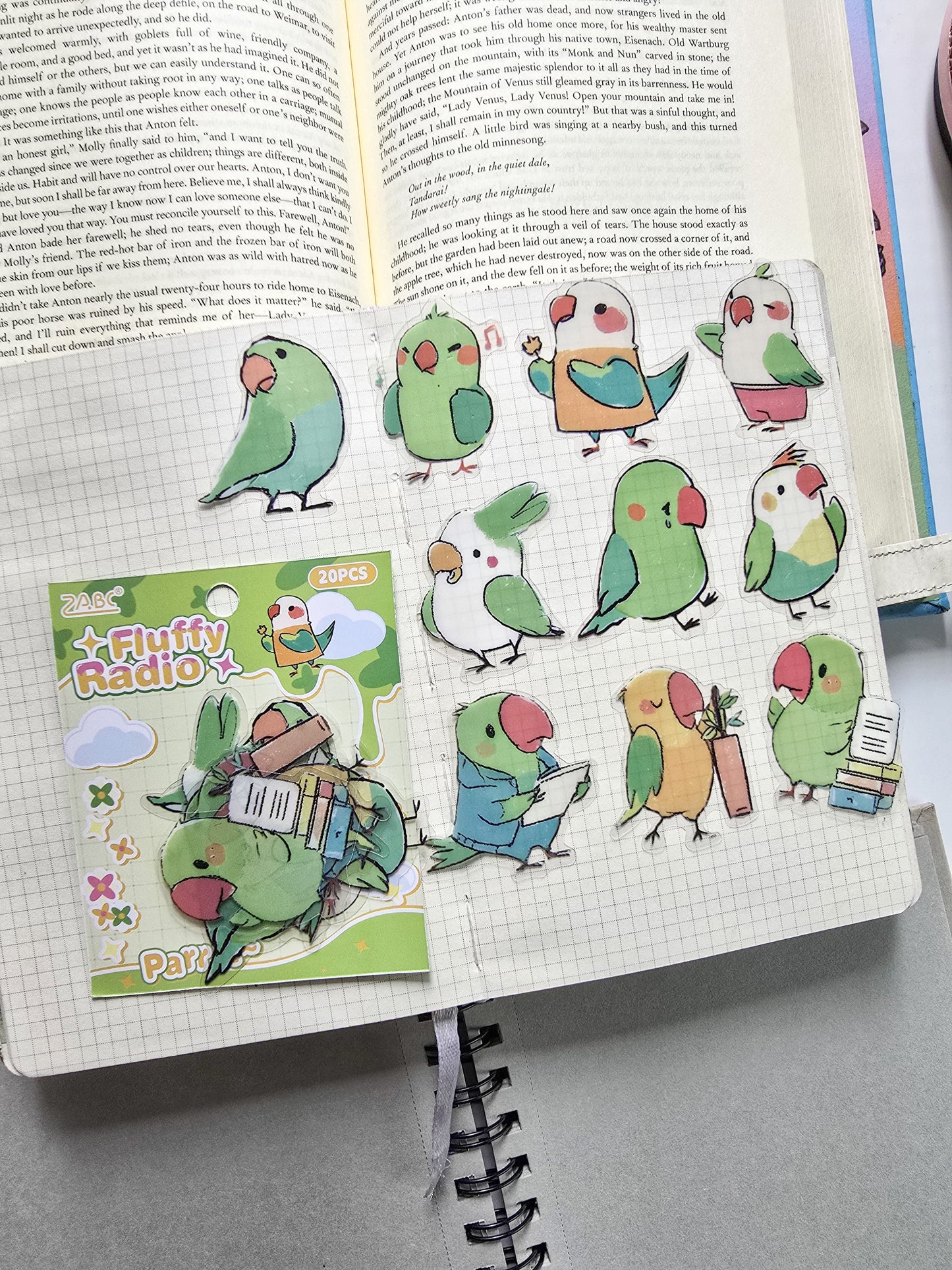 DWHXQ-606 | PET | Cute stickers | Fluffy Radio | Parrot| 20 Pcs Sticker | 50*50mm
