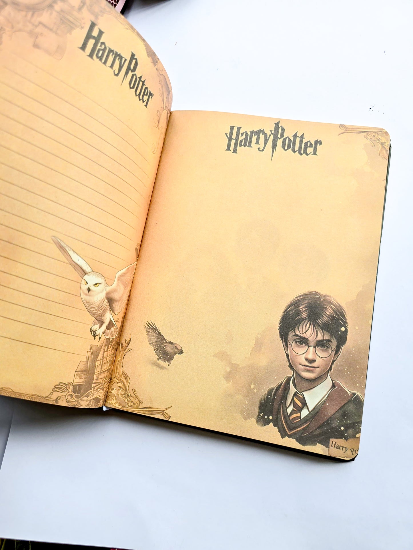 MG2663 | Harry Potter Branded Hardbound Notebook Or Diary Featuring Anime-Style Srtwork Of Hermione Granger On The Cover |