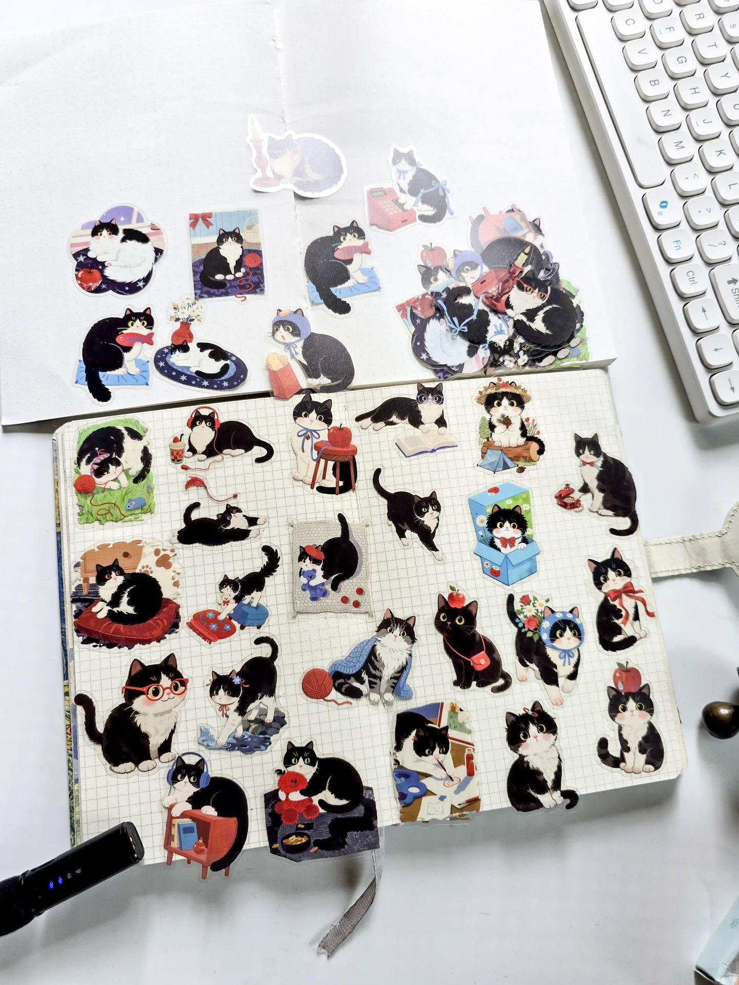 XMJR-605 |Cow cat PET Cat STICKER |60pcs Sticker | 50*50mm