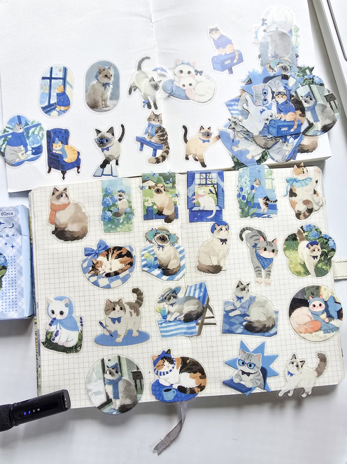 XMJR-601 | Plaid cat PET Cat STICKER |60pcs Sticker | 50*50mm