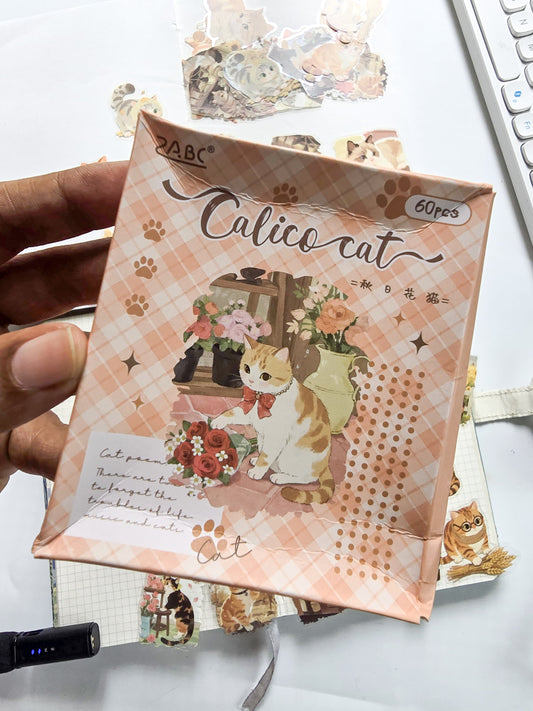 XMJR-604 | Calico Cat PET Cat STICKER |60pcs Sticker | 50*50mm