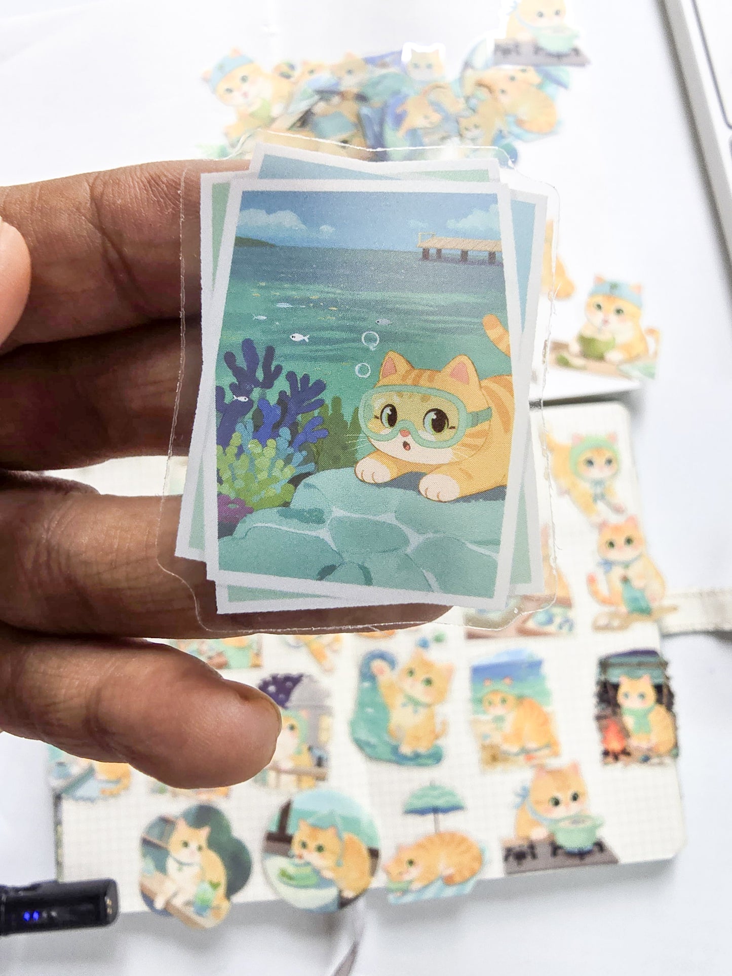 XMJR-606 | Sea cat PET Cat STICKER |60pcs Sticker | 50*50mm