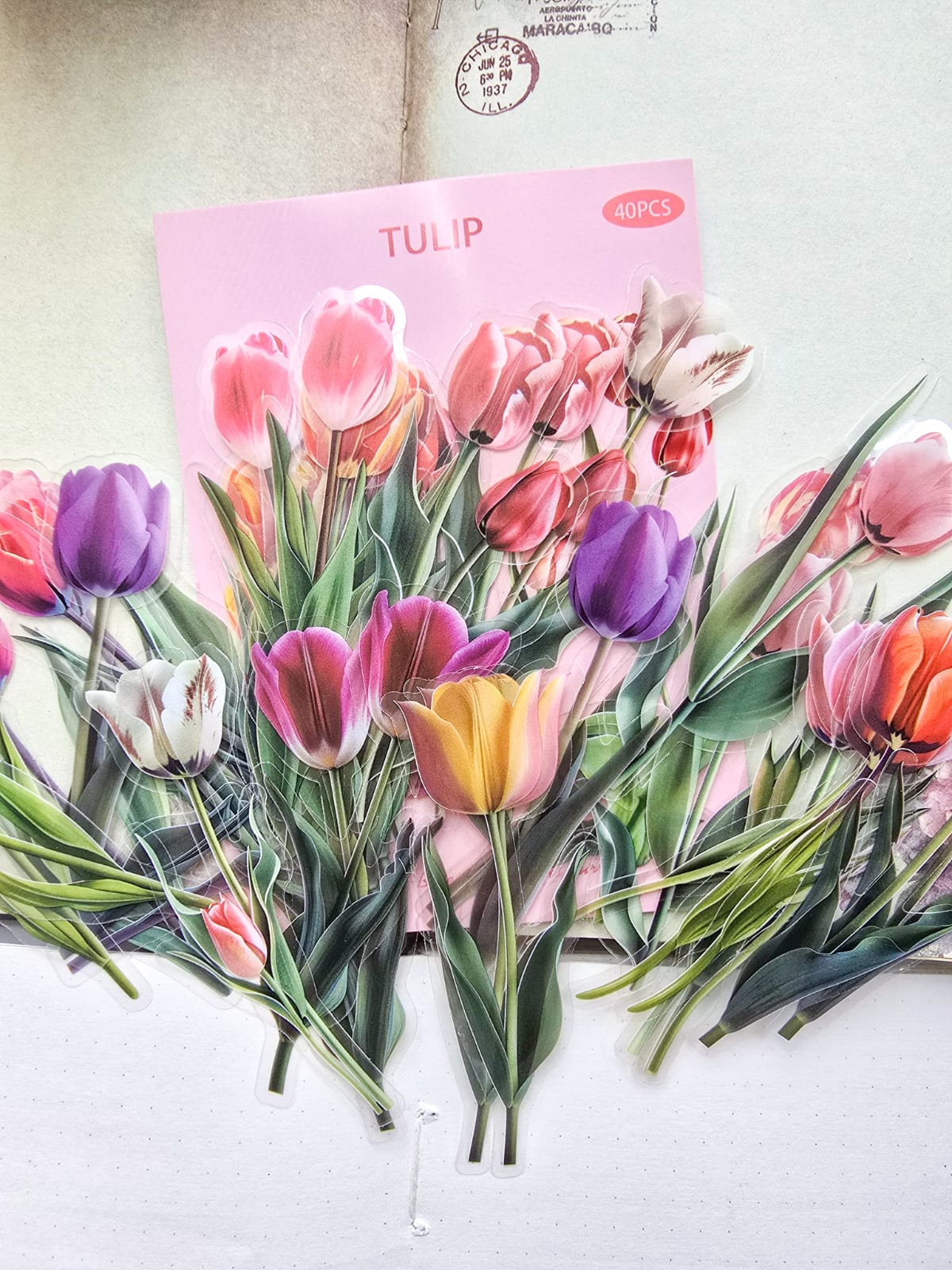 B70|G-3| Pet | G3| Floral Sticker | 40PCS