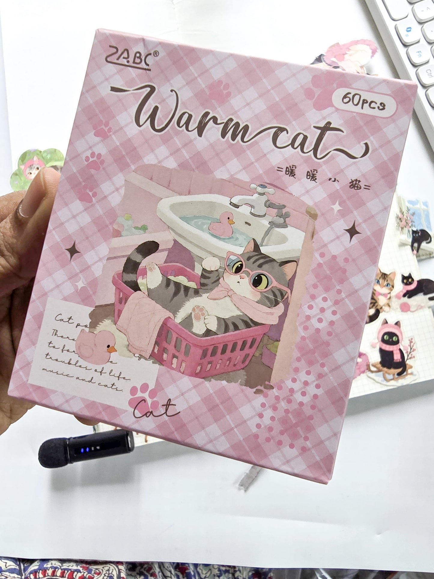 XMJR-603 |-Warm-cat- PET Cat STICKER |60pcs Sticker | 50*50mm