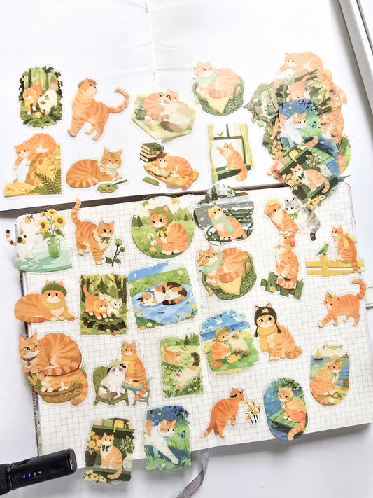 XMJR-602 | Ginger cat PET Cat STICKER |60pcs Sticker | 50*50mm