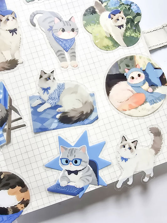 XMJR-601 | Plaid cat PET Cat STICKER |60pcs Sticker | 50*50mm