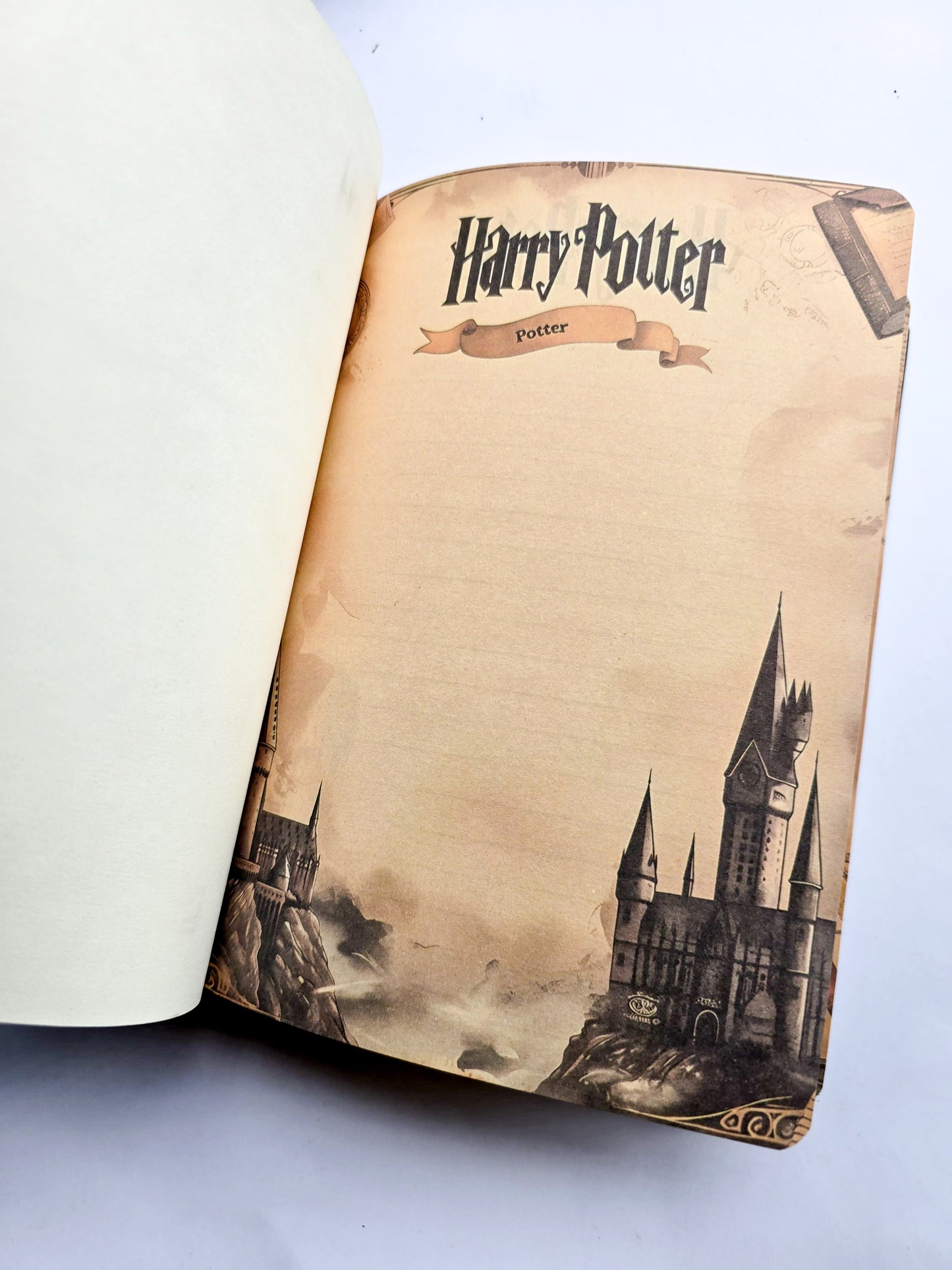 MG2663 | Harry Potter Branded Hardbound Notebook Or Diary Featuring Anime-Style Srtwork Of Hermione Granger On The Cover |