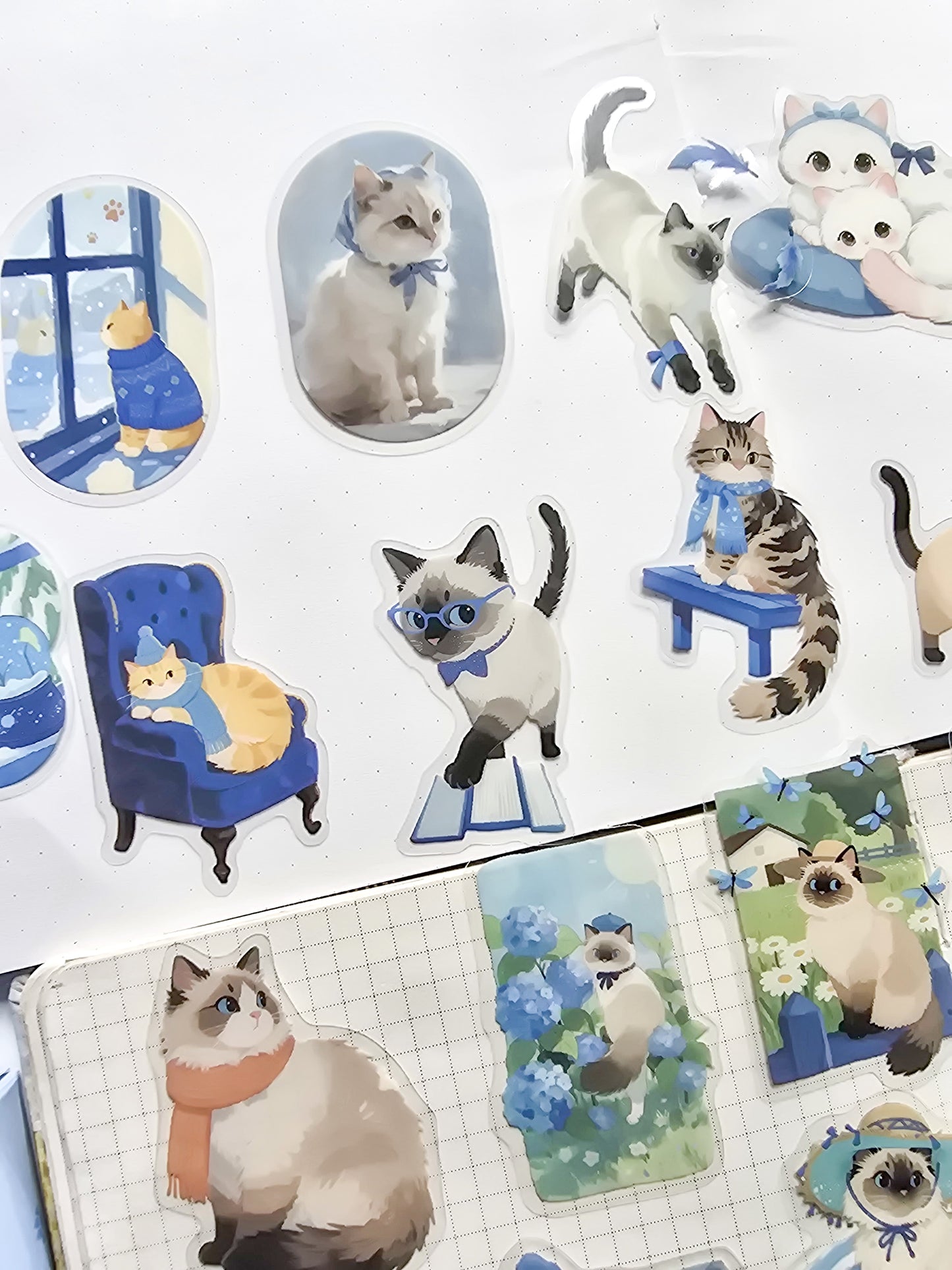 XMJR-601 | Plaid cat PET Cat STICKER |60pcs Sticker | 50*50mm